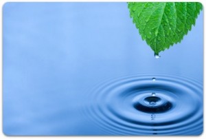 Homeopathic Consultations